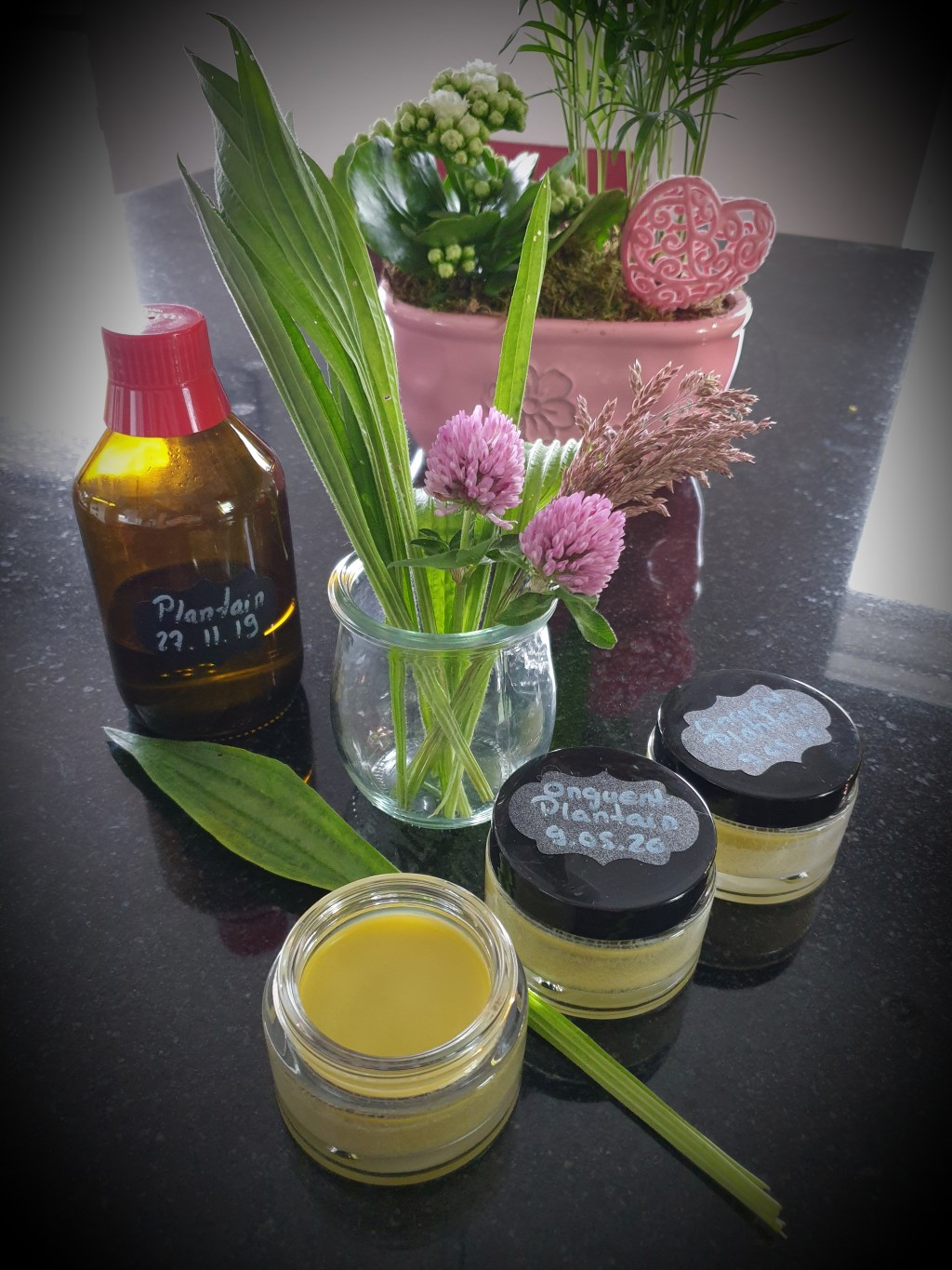 Onguent au plantain, stop aux démangeaisons&nbsp;!