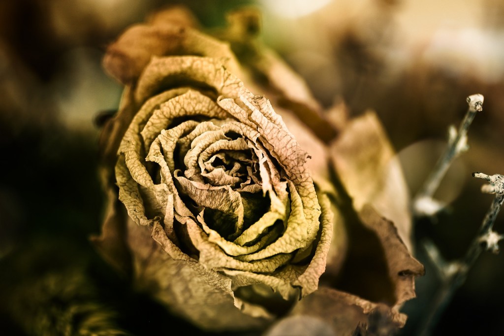 Burn-in, quand le corps te dit &laquo;&nbsp;STOP&nbsp;&raquo;